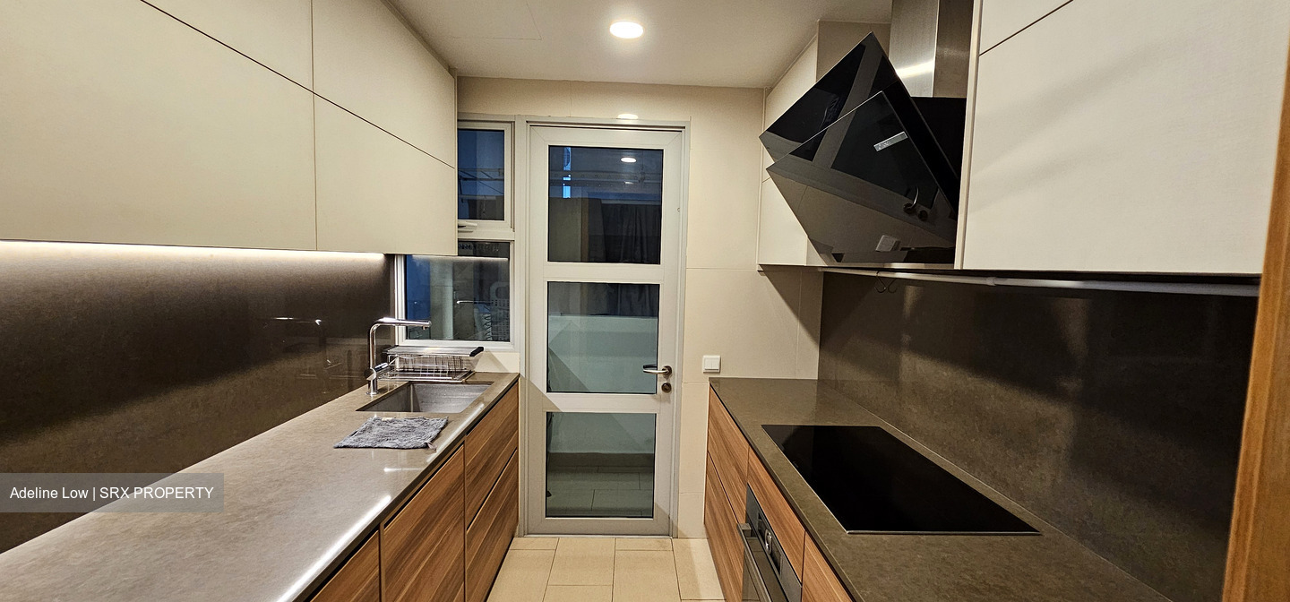 Clover By The Park (D20), Condominium #578616511